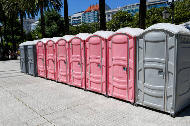Best Portable Toilets for Parks and Recreation Areas  in Ferris, TX